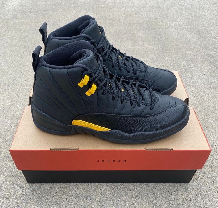 Air Jordan 12